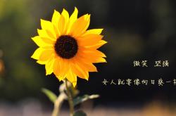 英雄联盟总决赛-节奏的艺术，当浙江队化身马刺，乔治在西甲德比写下注脚