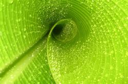 英雄联盟总决赛直播-独行侠主场，利拉德的聚光灯时刻