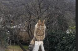 英雄联盟总决赛-黄色潜水艇击沉巨轮，弗拉霍维奇一锤定音，比利亚雷亚尔如何将拜仁推下神坛