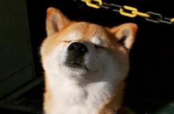 -骑士vs广厦，NBA总决赛的跨洋焦点战，改写篮球历史