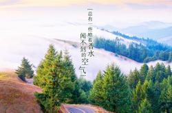 英雄联盟总决赛2025-全球风驰，天山对决，当F1战火烧至新疆之巅