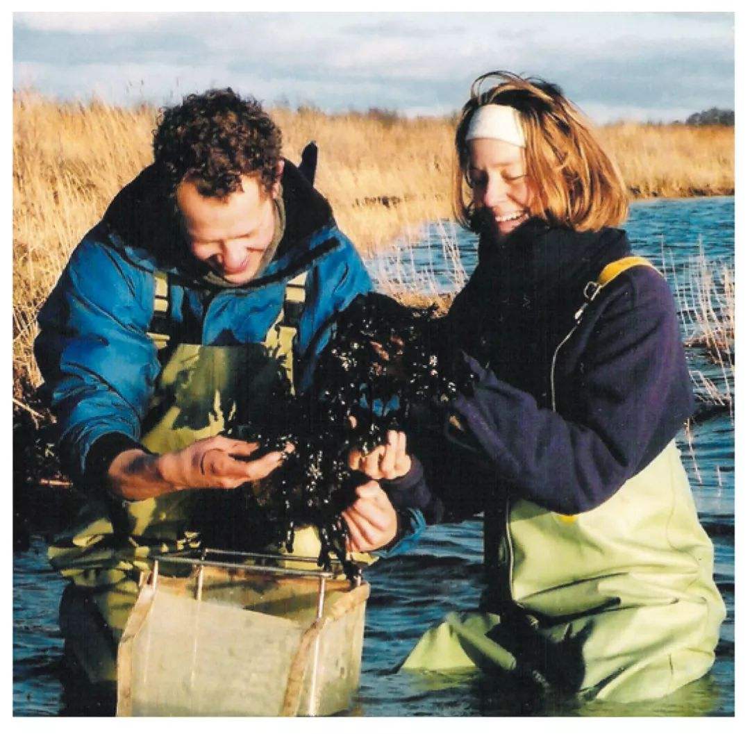 梅斯一系列挫败,遭受低空剃头的简单介绍 梅斯一系列挫败,遭受低空剃头的简单介绍