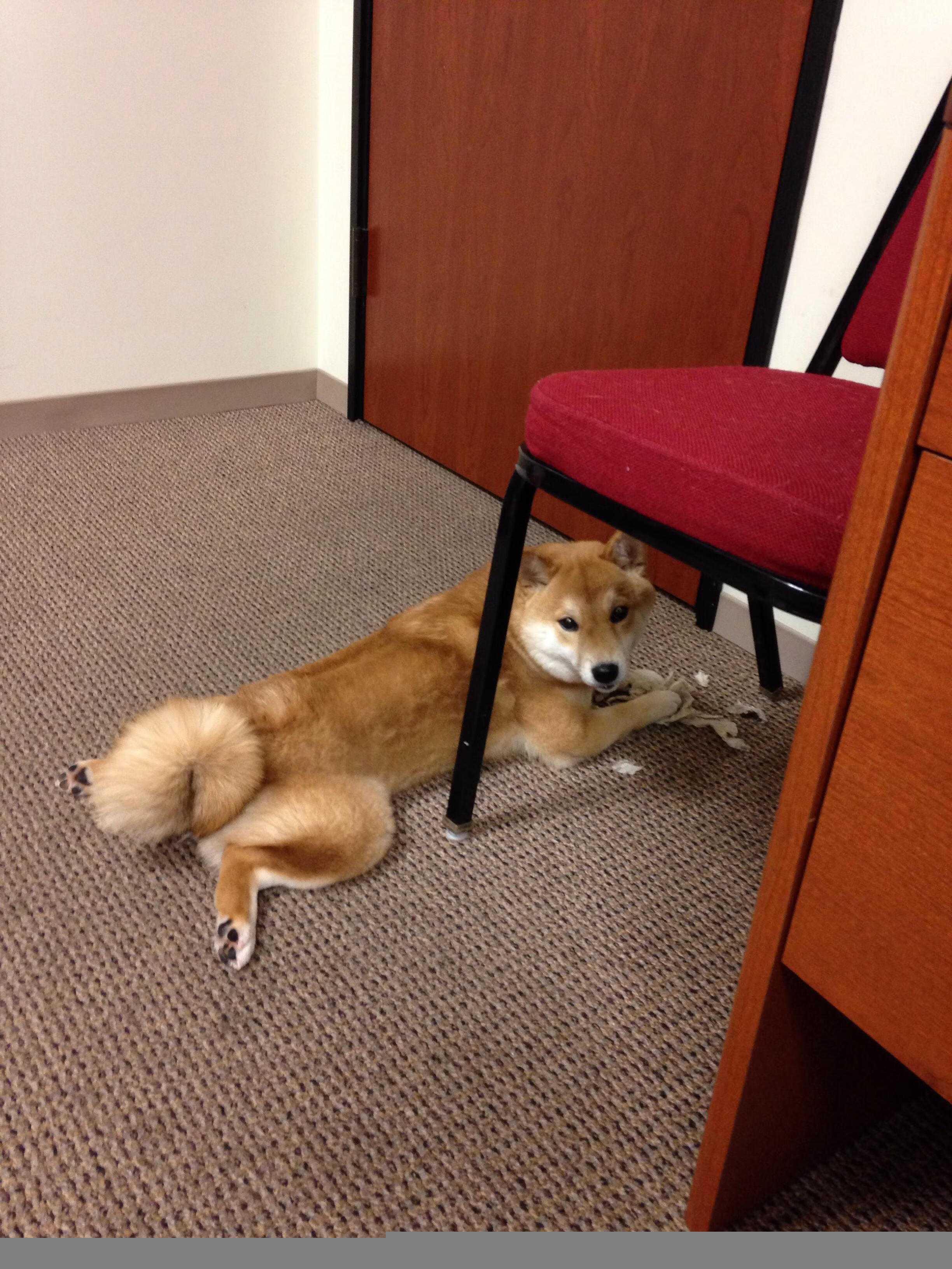 神魔舞台与黄金记忆，当欧冠烽火映照绿军紫金的天王山