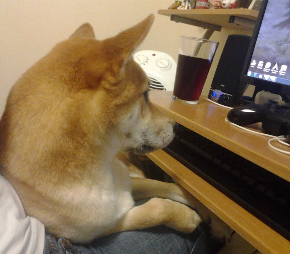 加克波爆发与哥伦比亚单节拉开苏格兰，国际足球双响炮