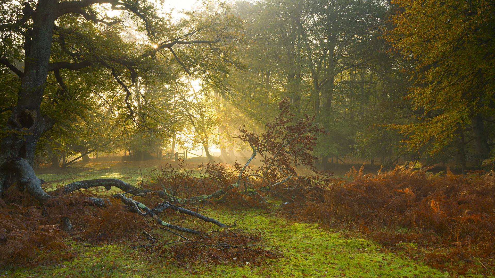 94分钟绝杀，凯恩在美加墨的暴雨中，为英格兰按下接管键