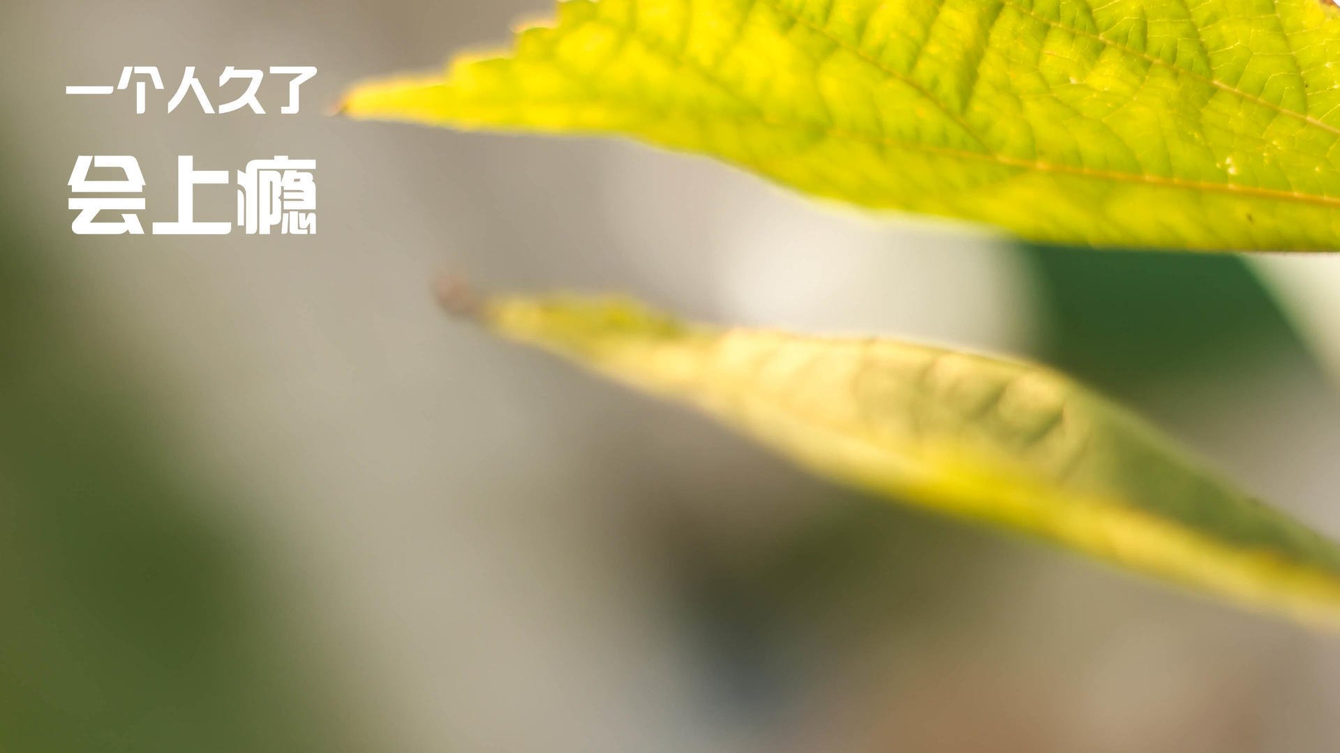 三分钟统治术，当拉文按下终结键