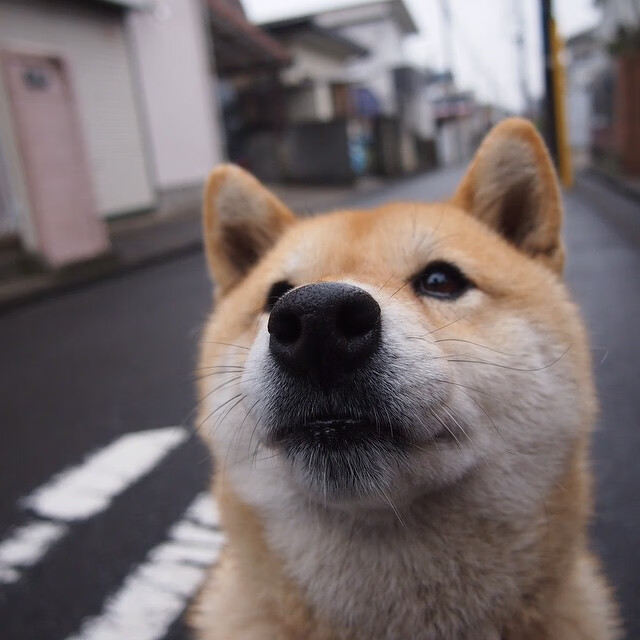 残局艺术家,卡瓦哈尔末节接管比赛,皇马稳稳拿下马德里德比