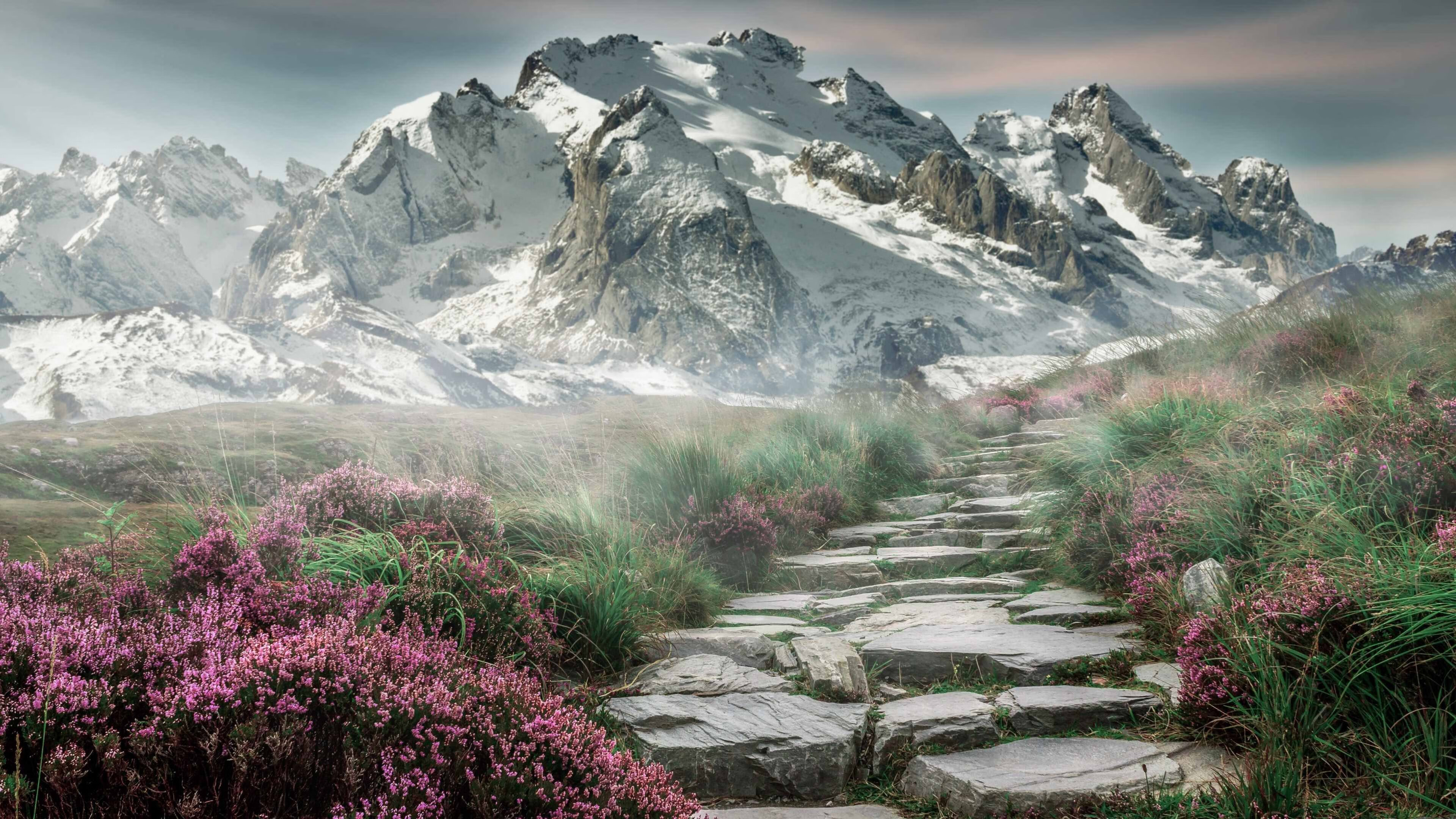 绿茵场上的价值革命，当新星闪耀碰撞冷门温床