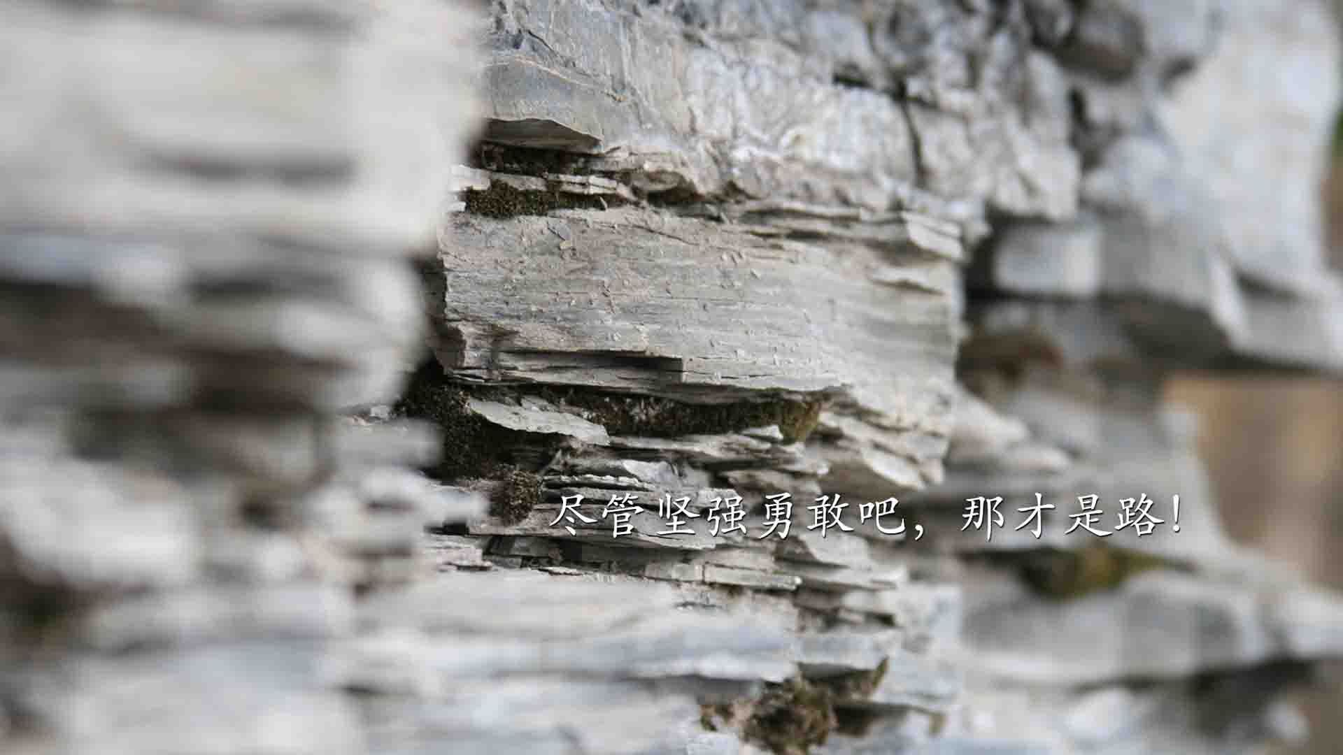 北欧风暴席卷地中海,劳塔罗一锤定音,挪威正面击溃马赛的王者之证