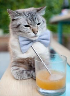 战术考古学,马德里竞技如何用现代足球压制埃及,阿坎吉惊艳四座的文明守卫者