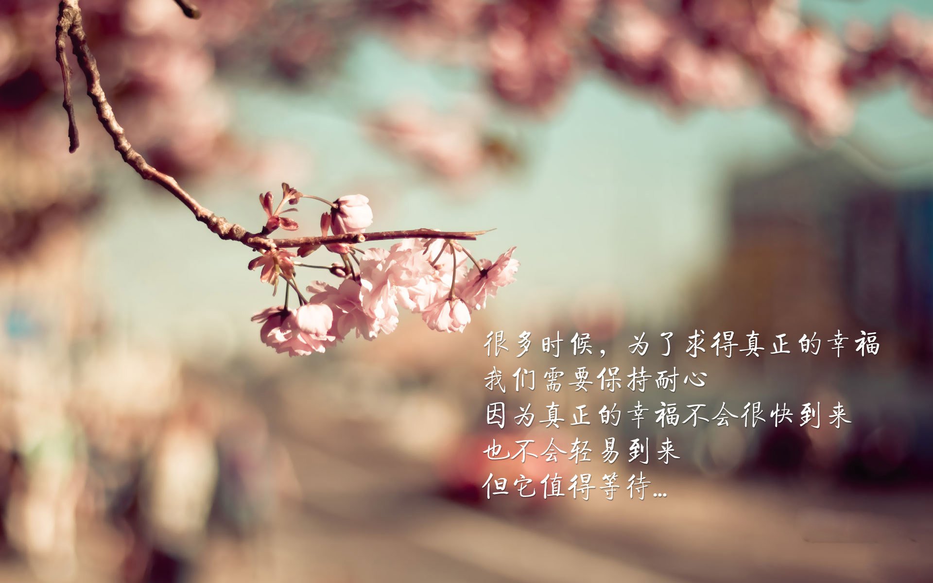 灰熊撕碎剧本！武切维奇正面击败东契奇，爆冷之夜背后的启示