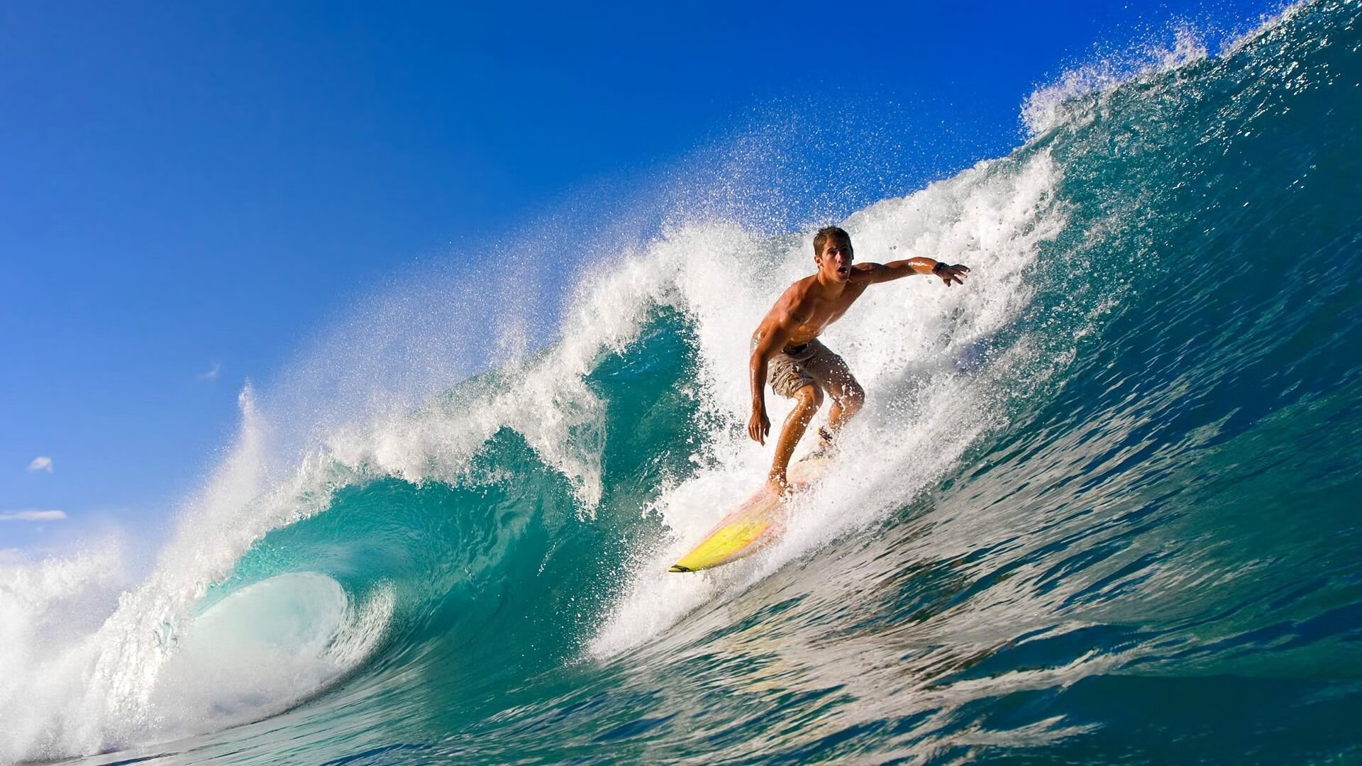 赛道与球场,巅峰对决的终极共鸣