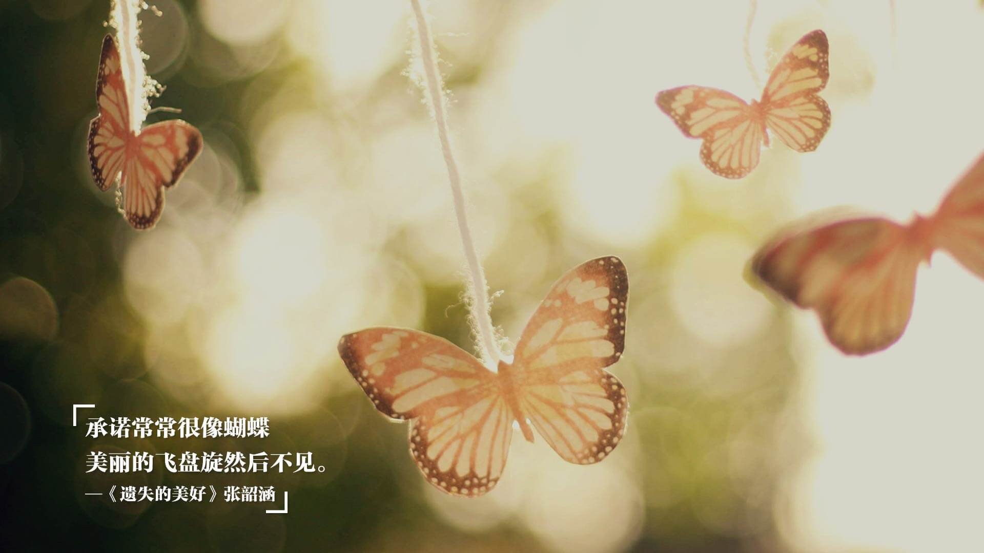 绿金权杖与橙色烈焰,当完美体系遇上无解单打