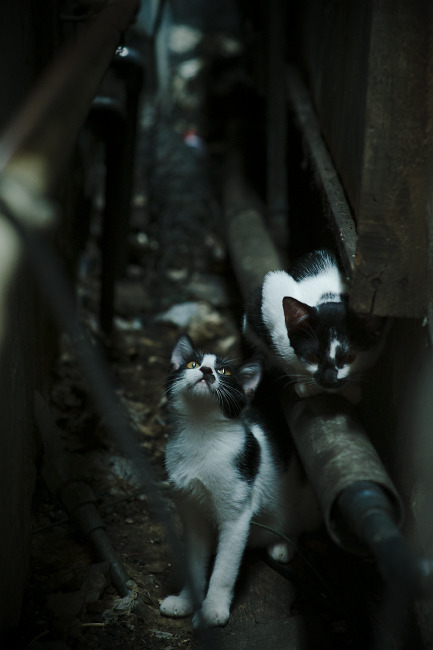 他把西决的星图,折叠进一枚秒表