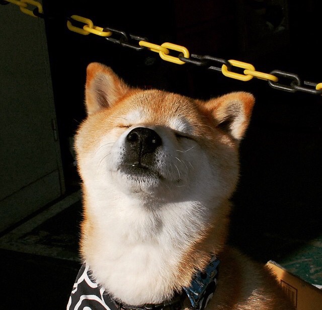 骑士vs广厦,NBA总决赛的跨洋焦点战,改写篮球历史