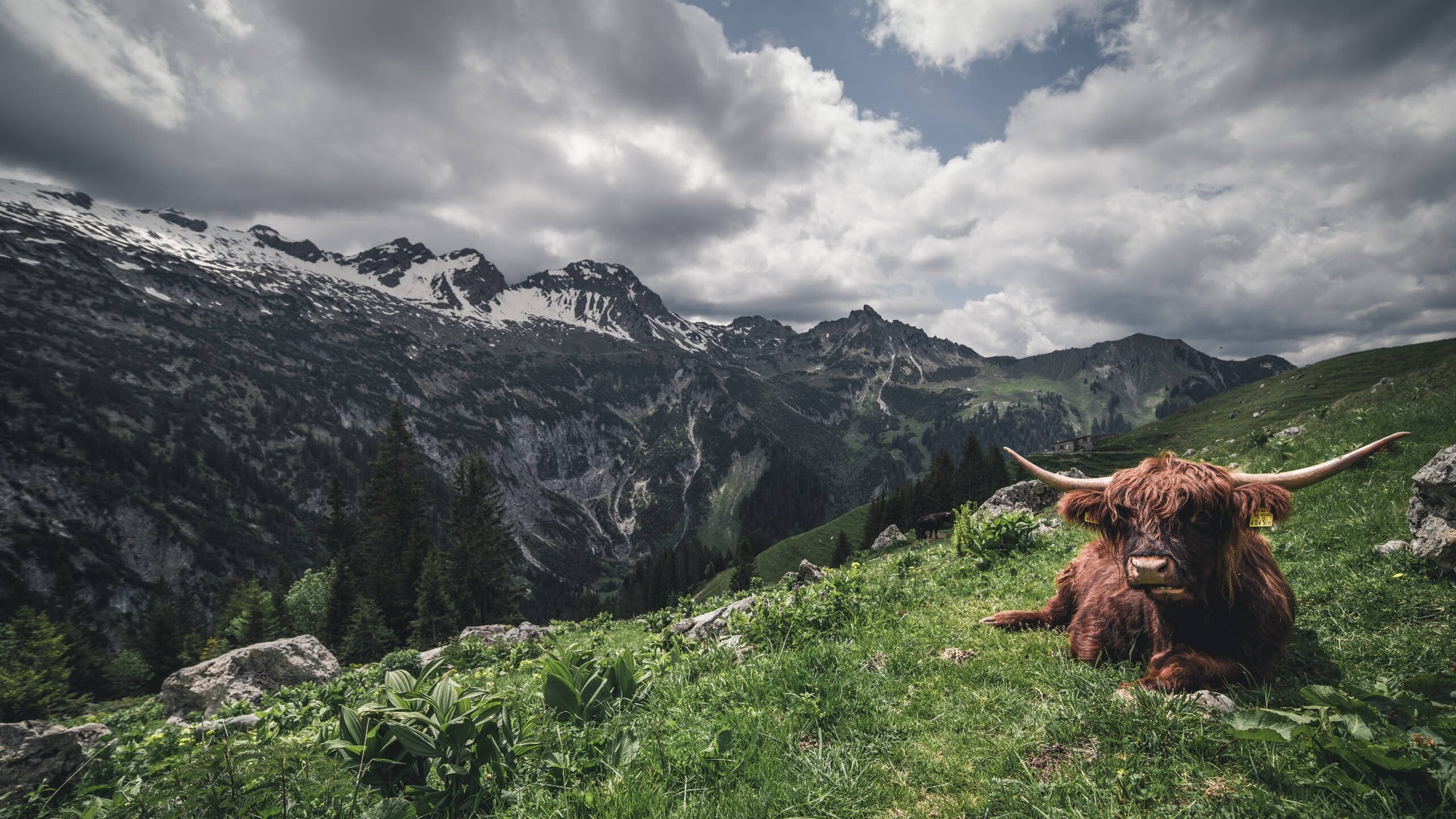 骑士vs广厦,NBA总决赛的跨洋焦点战,改写篮球历史