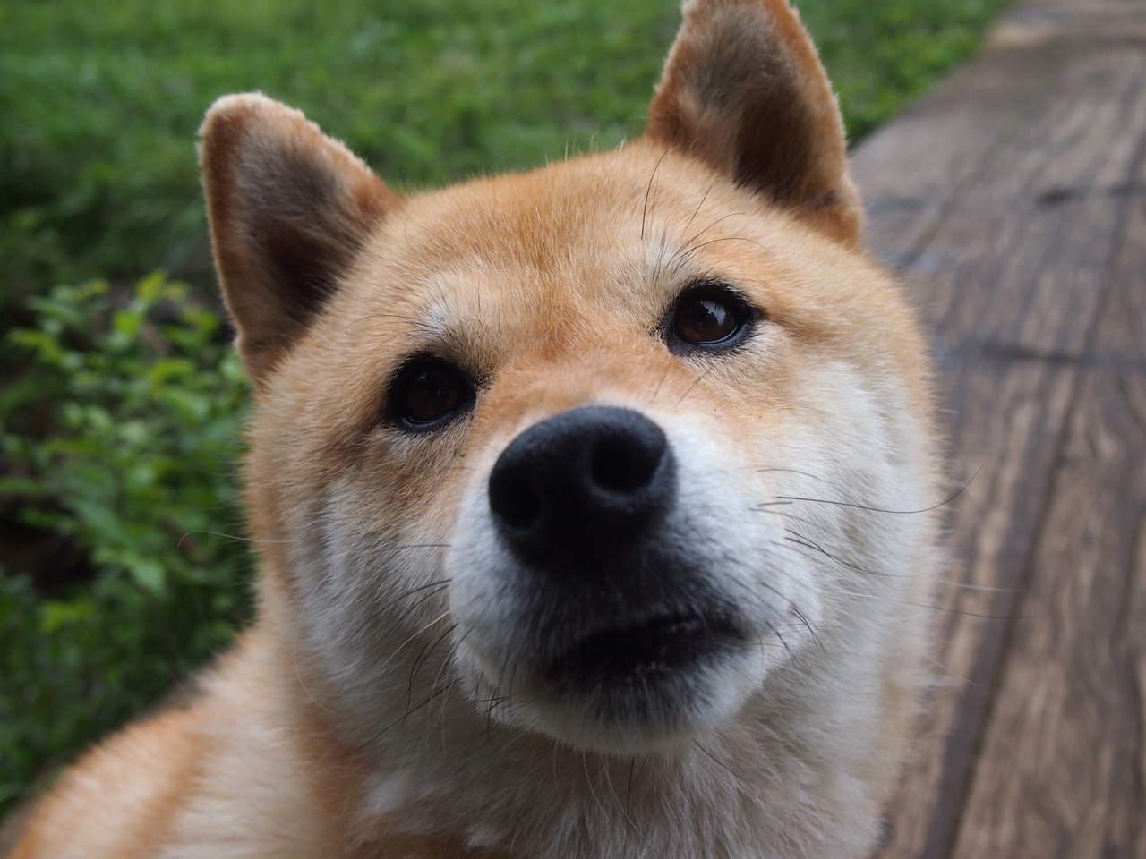 红衣带走红衣，若塔的沉默与葡萄牙的黄昏