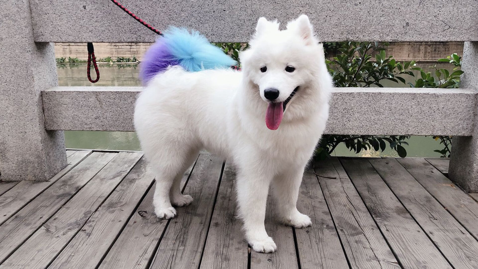 撕裂疆土防线！莫兰特缺阵贝恩轰40+三双，爵士客场掀翻新疆男篮