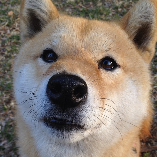 定乾坤,厄瓜多尔钢铁防线碾压芬兰,德布劳内一己之力改写成败