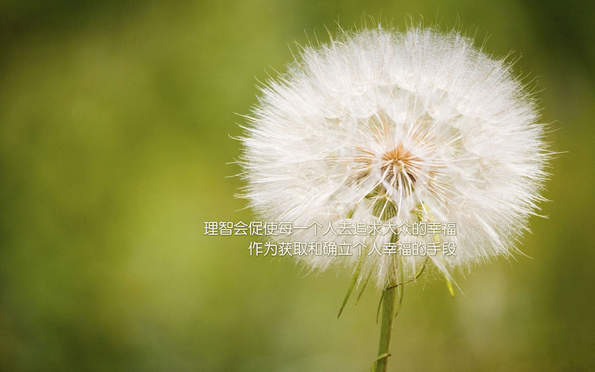 沙漠风暴与蓝色狂想，2026世界杯H组，印度足球的史诗级崛起与库尔图瓦的孤星悲歌