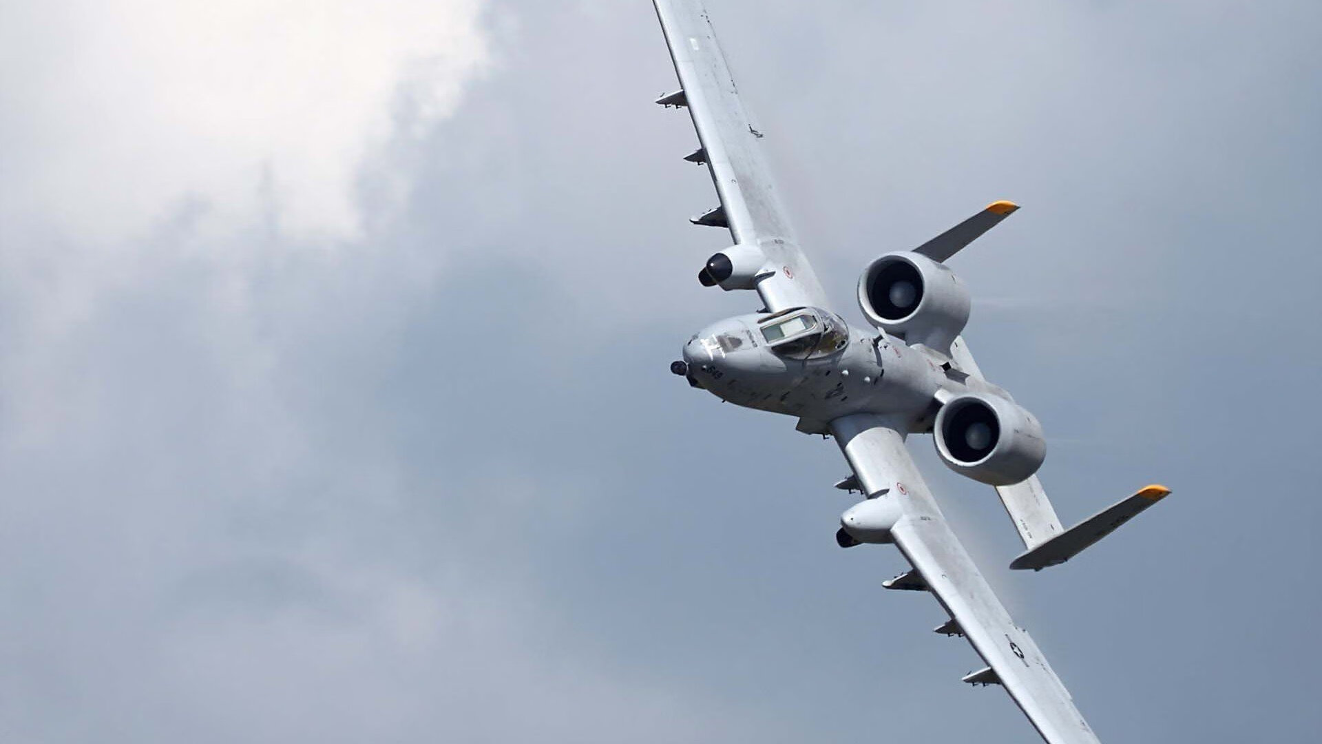 九十分钟的独白,当凯恩的左脚写下匈牙利无法破译的密码