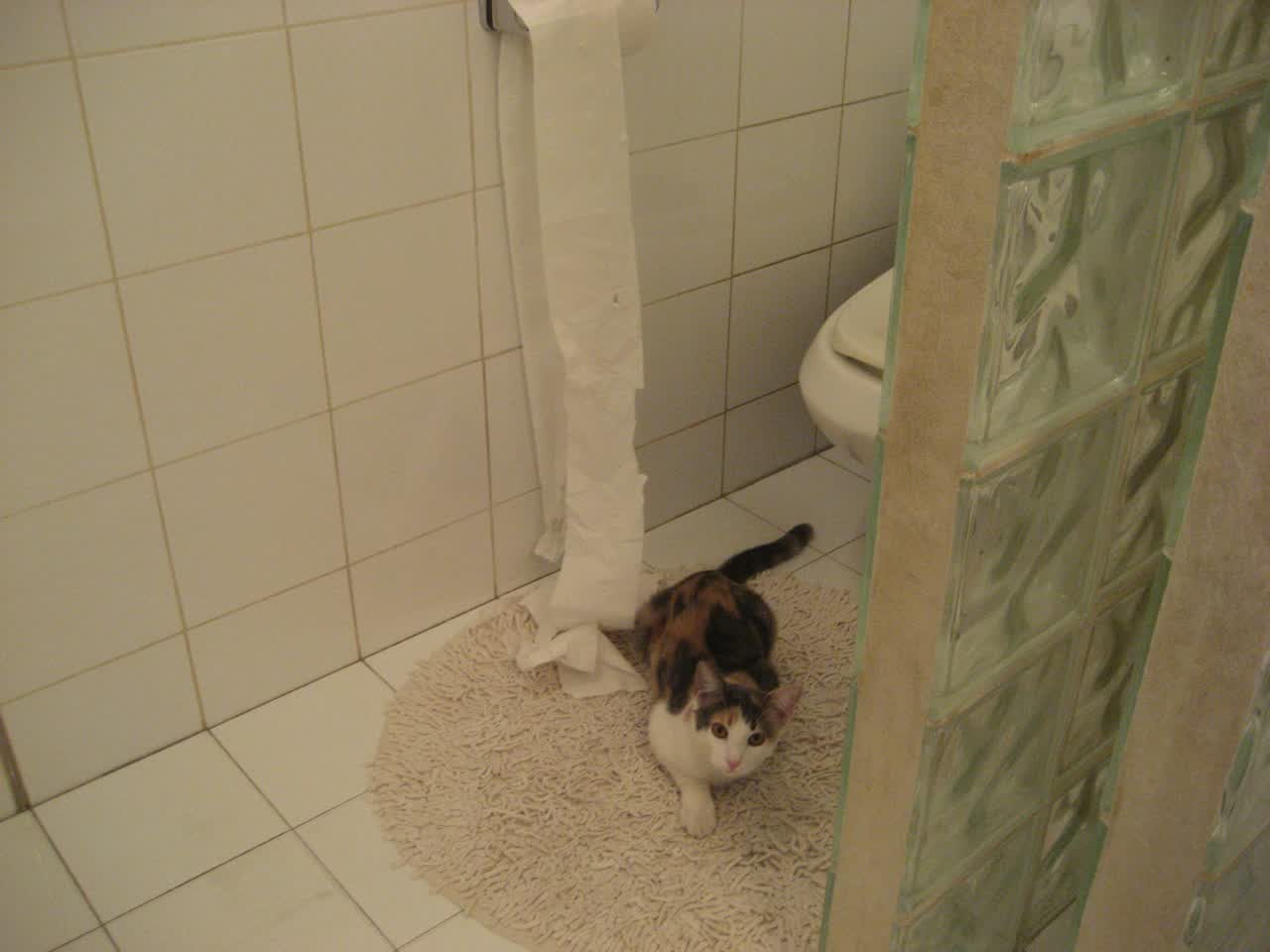 唯一的神迹，2026世界杯G组，日本如何用全场压制与迪亚斯的致命一击，逆转比利时改写足球史诗